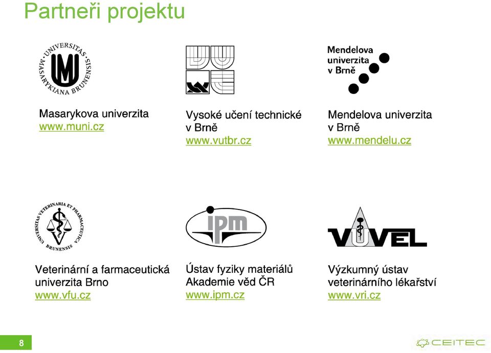 projektu