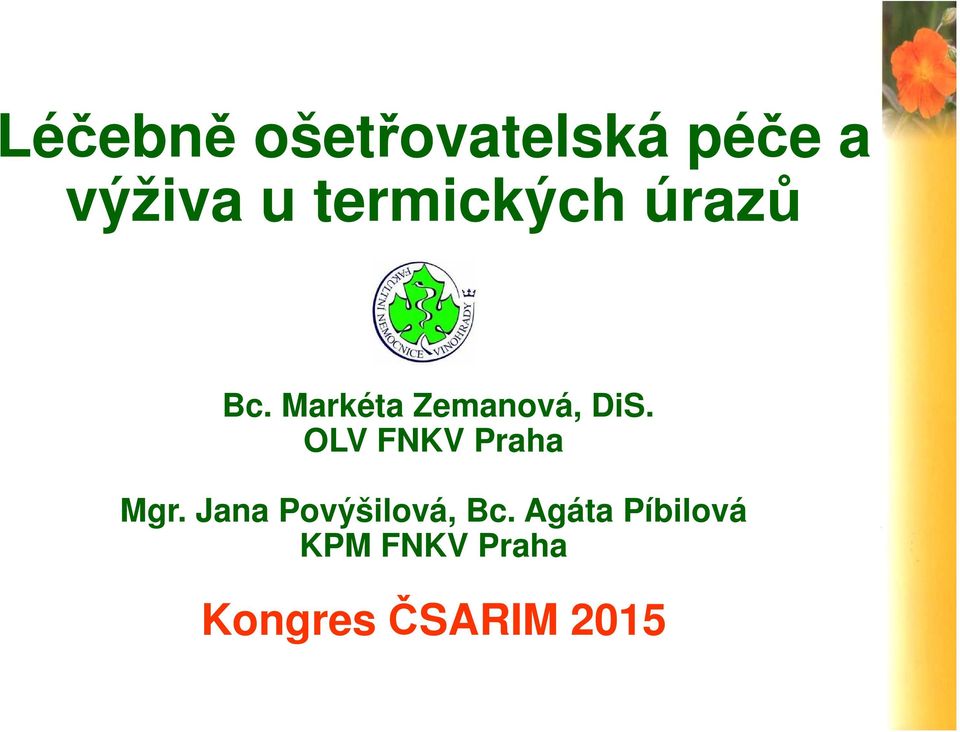 OLV FNKV Praha Mgr. Jana Povýšilová, Bc.