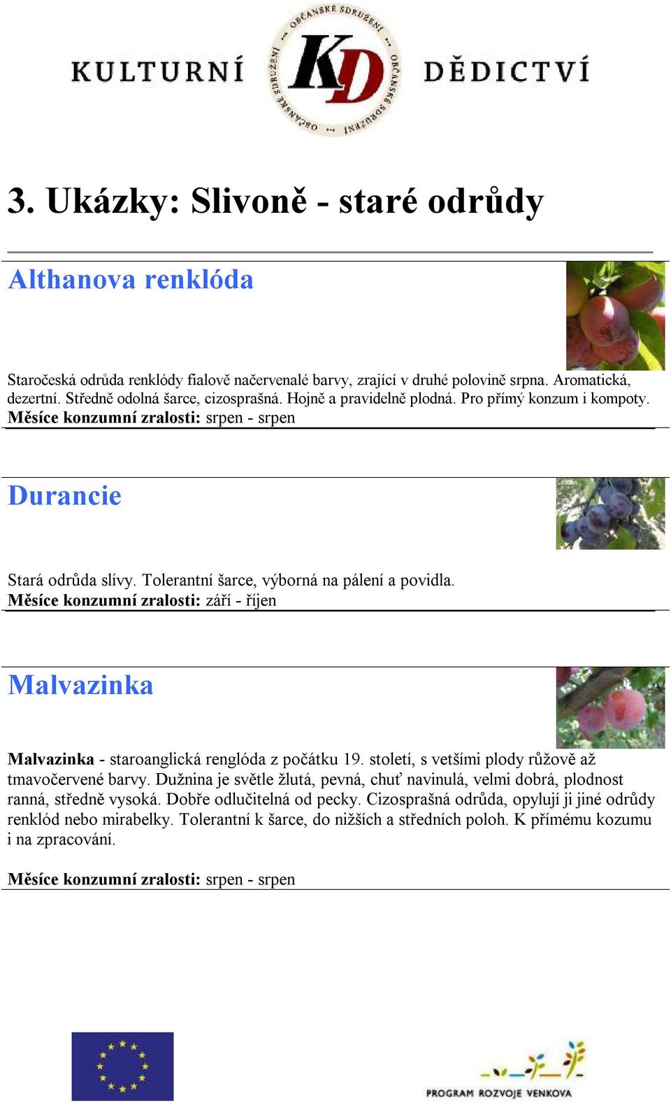 Měsíce konzumní zralosti: září - říjen Malvazinka Malvazinka - staroanglická renglóda z počátku 19. století, s vetšími plody růžově až tmavočervené barvy.