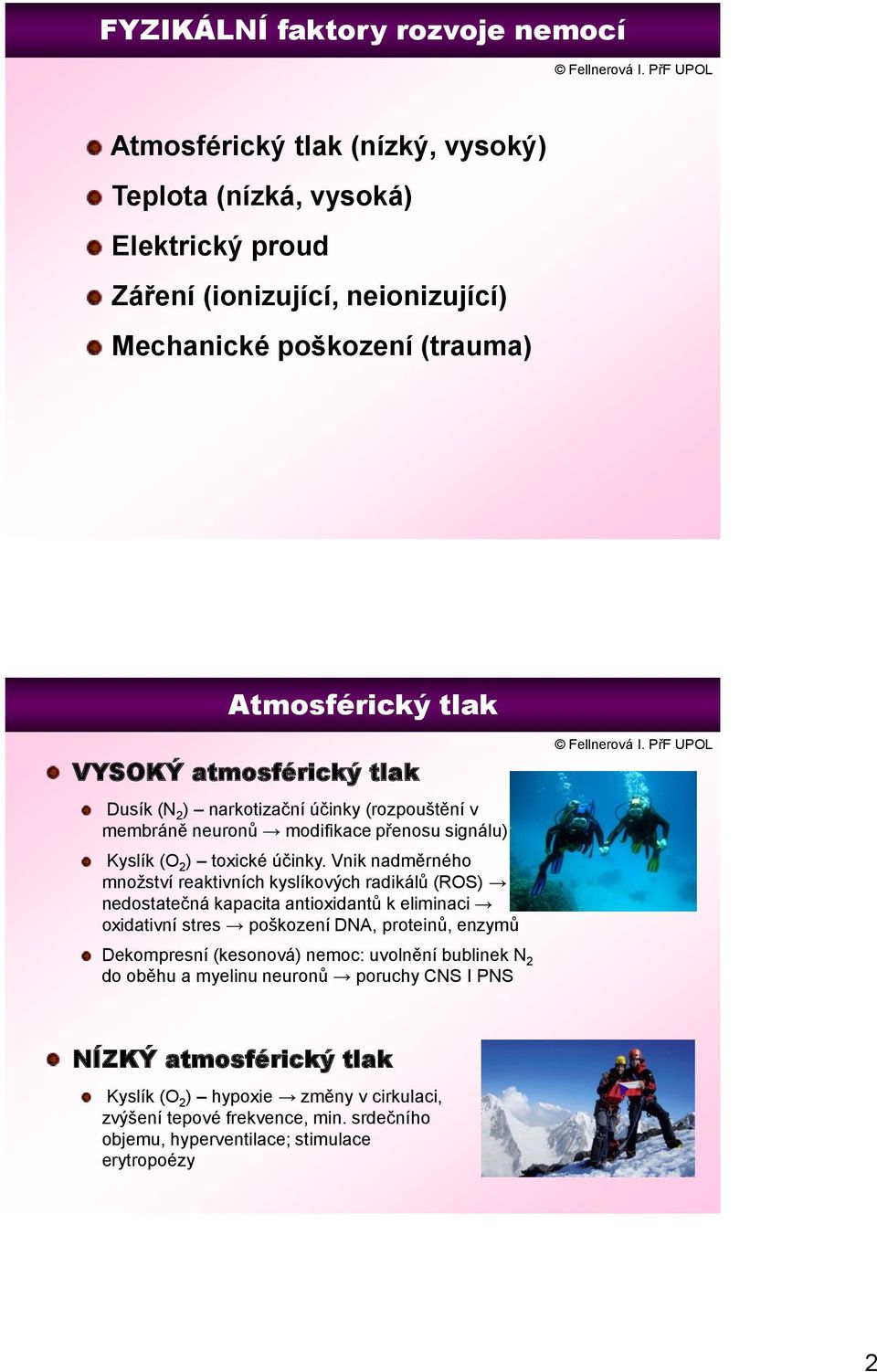 Vnik nadměrného množství reaktivních kyslíkových radikálů (ROS) nedostatečná kapacita antioxidantů k eliminaci oxidativní stres poškození DNA, proteinů, enzymů Dekompresní (kesonová)