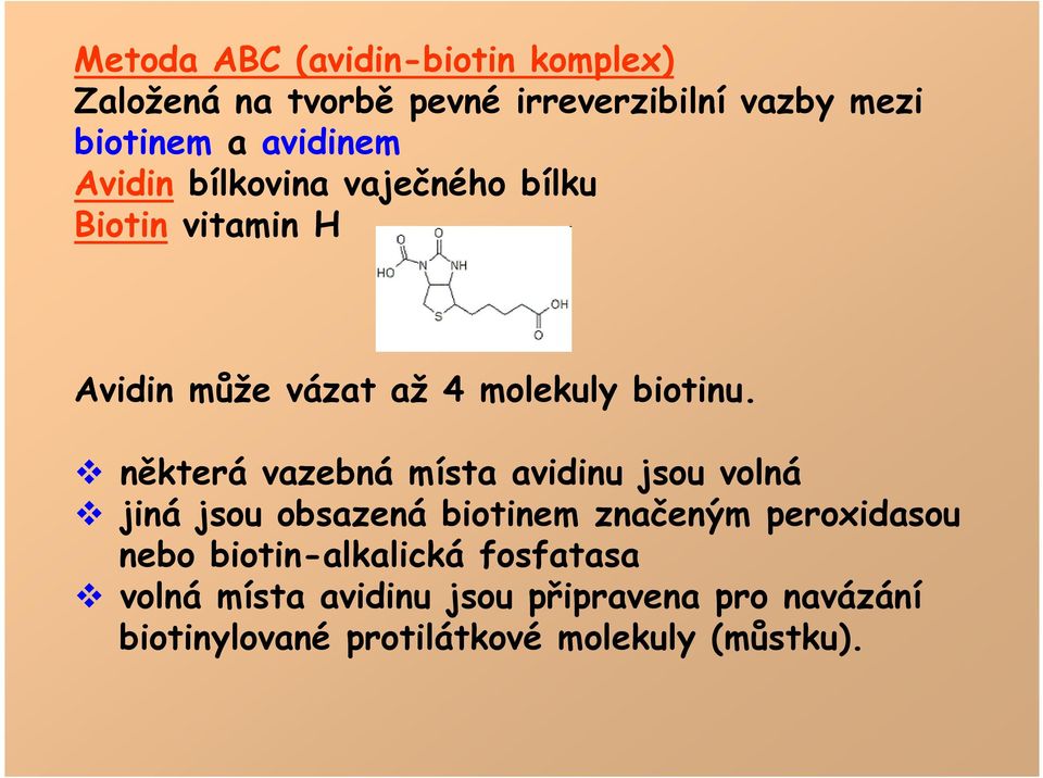 některá vazebná místa avidinu jsou volná jiná jsou obsazená biotinem značeným peroxidasou nebo