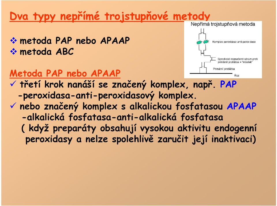 nebo značený komplex s alkalickou fosfatasou APAAP -alkalická fosfatasa-anti-alkalická