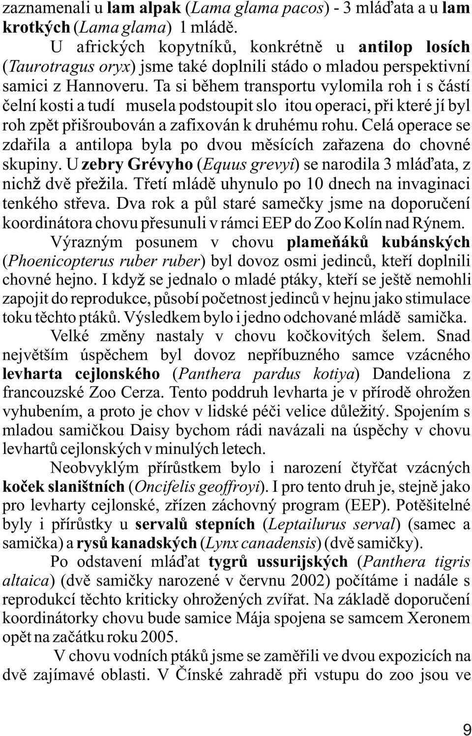 Ta si bìhem transportu vylomila roh i s èástí èelní kosti a tudíž musela podstoupit složitou operaci, pøi které jí byl roh zpìt pøišroubován a zafixován k druhému rohu.