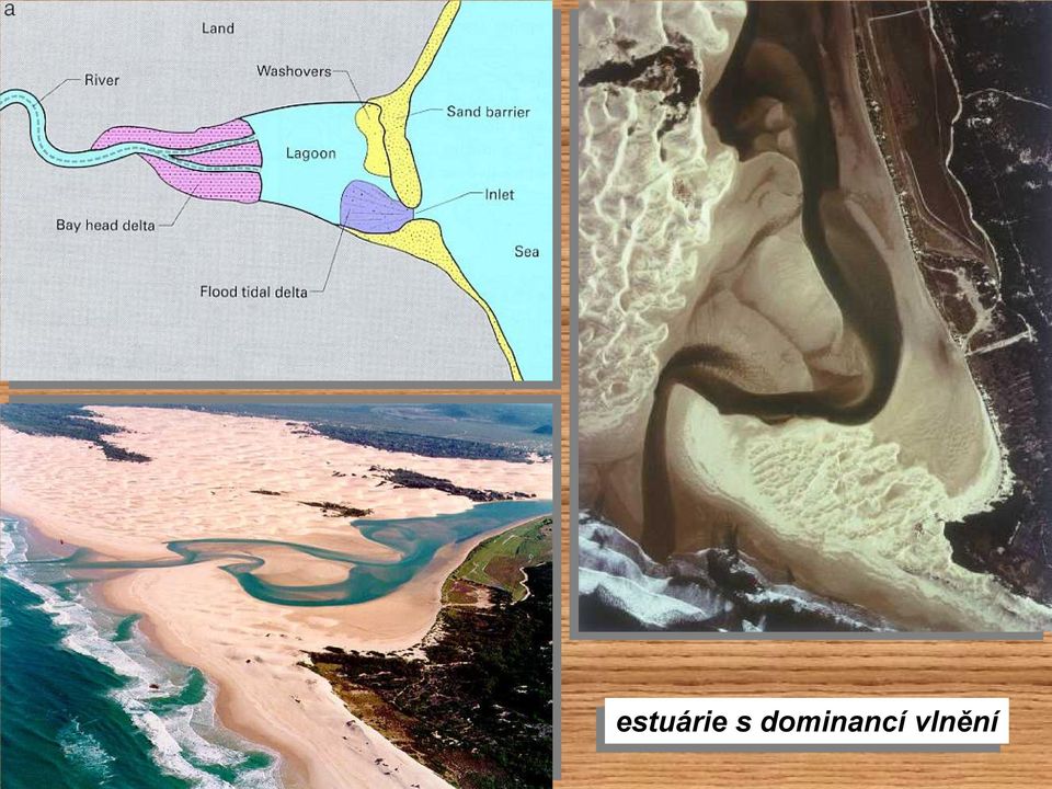 dominancí