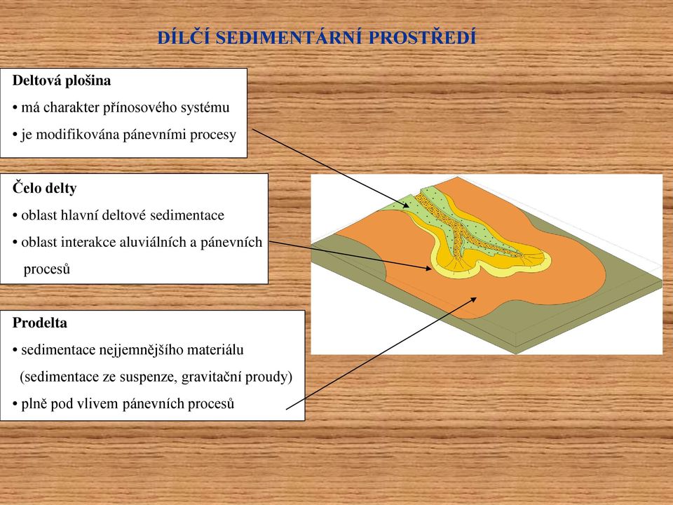 interakce aluviálních a pánevních procesů Prodelta sedimentace nejjemnějšího