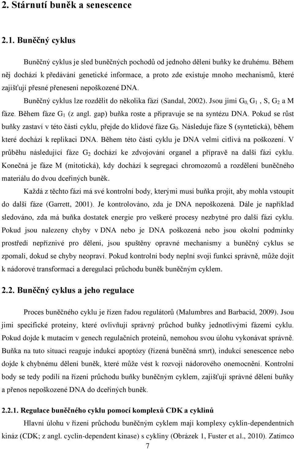 Jsou jimi G 0, G 1, S, G 2 a M fáze. Během fáze G 1 (z angl. gap) buňka roste a připravuje se na syntézu DNA. Pokud se růst buňky zastaví v této části cyklu, přejde do klidové fáze G 0.