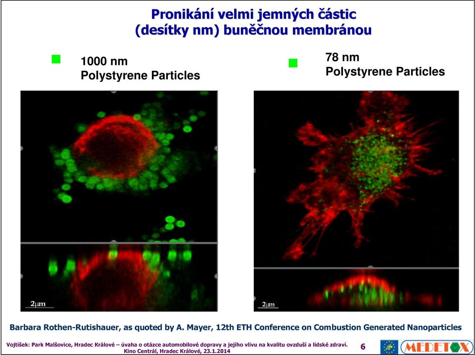 Particles Barbara Rothen-Rutishauer, as quoted by A.