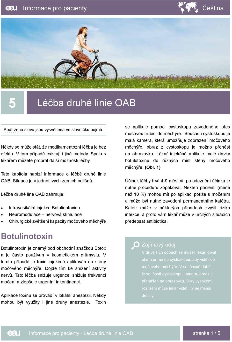 Léčba druhé line OAB zahrnuje: Intravesikální injekce Botulinotoxinu Neuromodulace nervová stimulace Chirurgické zvětšení kapacity močového měchýře Botulinotoxin Botulinotoxin je známý pod obchodní