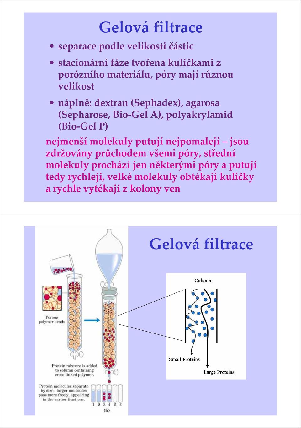 P) nejmenší molekuly putují nejpomaleji jsou zdržovány průchodem všemi póry, střední molekuly prochází jen
