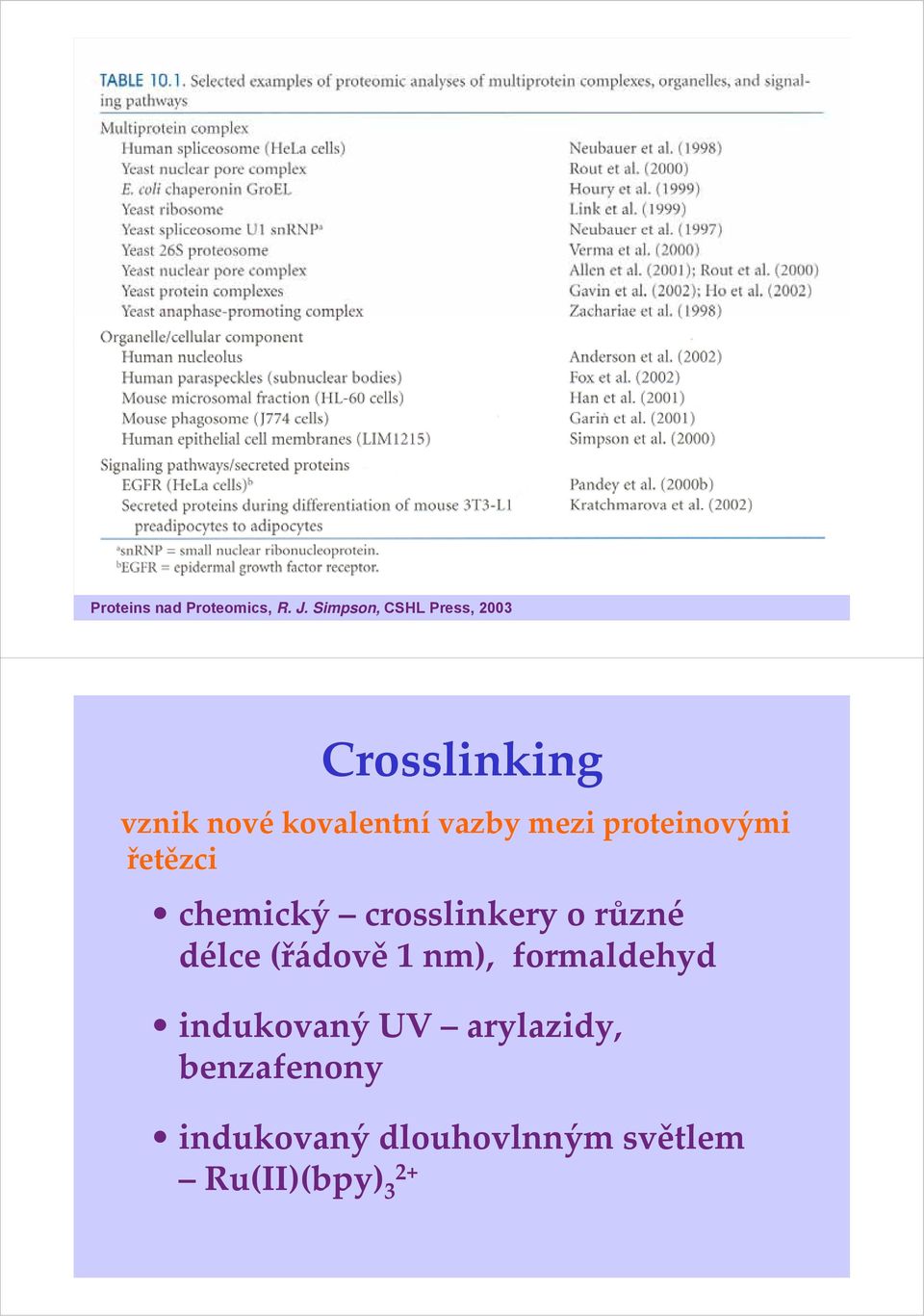 mezi proteinovými řetězci chemický crosslinkery o různé délce