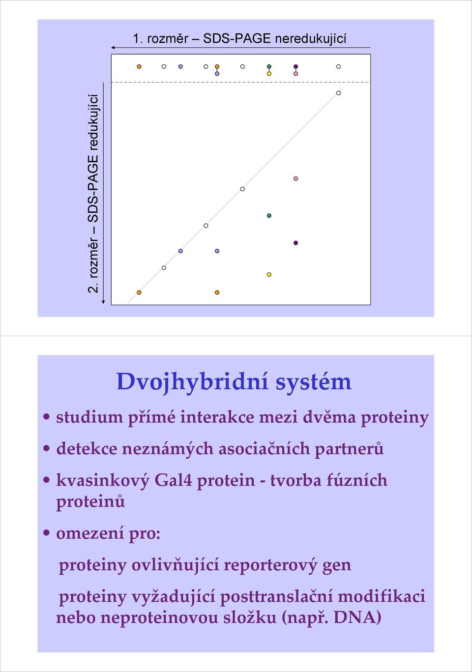 proteiny detekce neznámých asociačních partnerů kvasinkový Gal4 protein tvorba fúzních