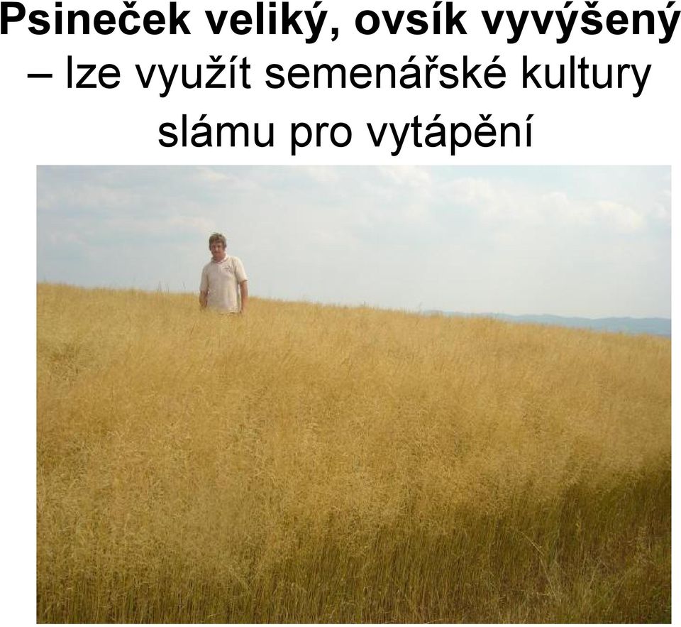 využít semenářské