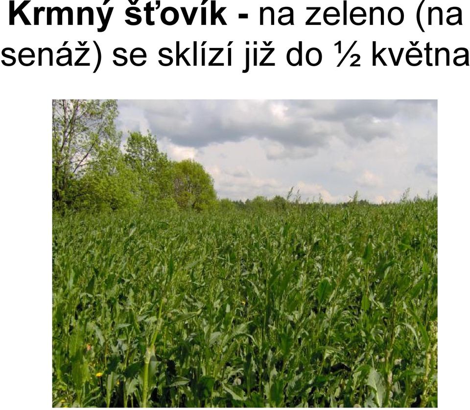 senáž) se