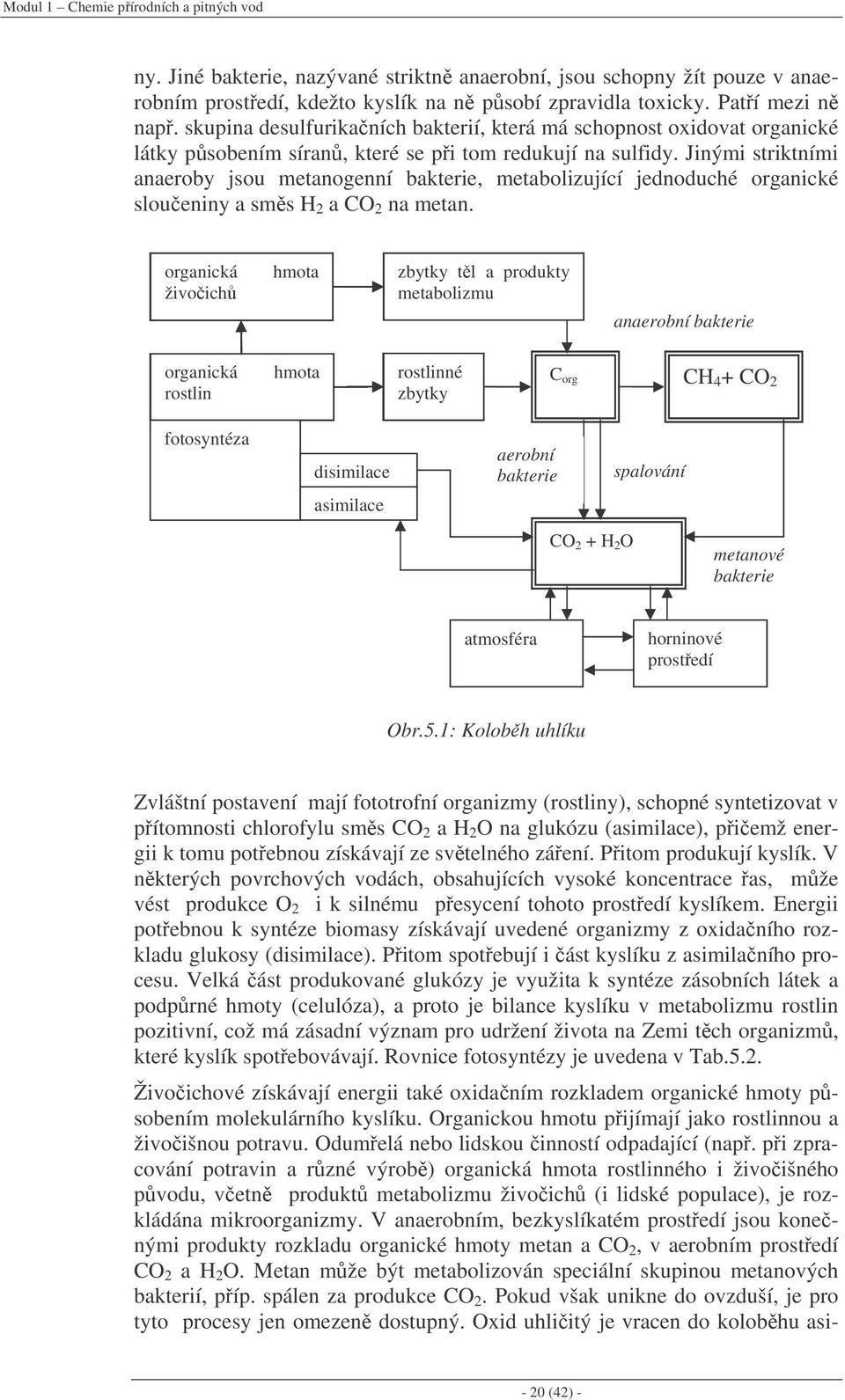 Jinými striktními anaeroby jsou metanogenní bakterie, metabolizující jednoduché organické sloueniny a sms H 2 a CO 2 na metan.