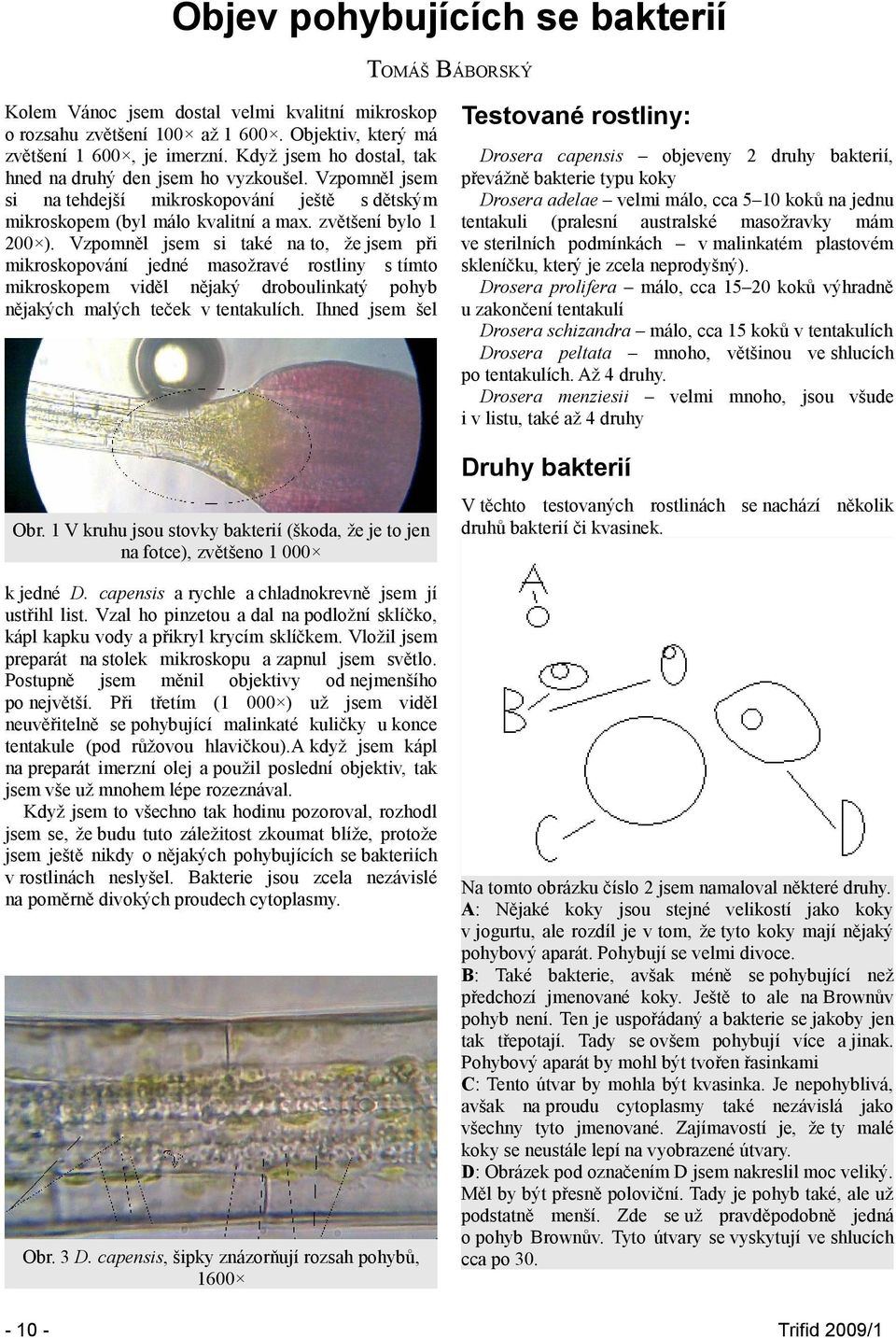 Vzpomněl jsem si také na to, že jsem při mikroskopování jedné masožravé rostliny s tímto mikroskopem viděl nějaký droboulinkatý pohyb nějakých malých teček v tentakulích.