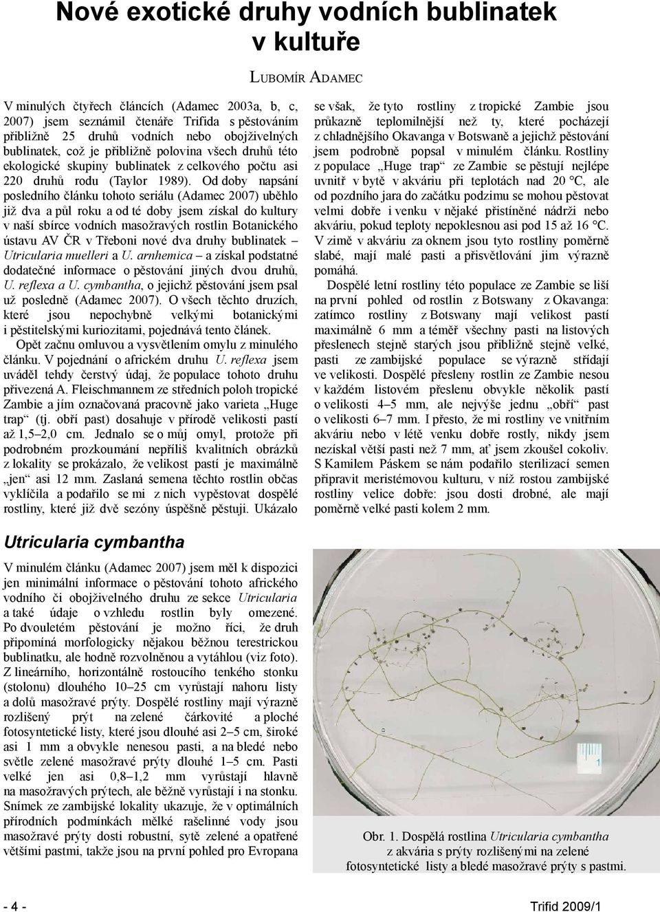 Od doby napsání posledního článku tohoto seriálu (Adamec 2007) uběhlo již dva a půl roku a od té doby jsem získal do kultury v naší sbírce vodních masožravých rostlin Botanického ústavu AV ČR v