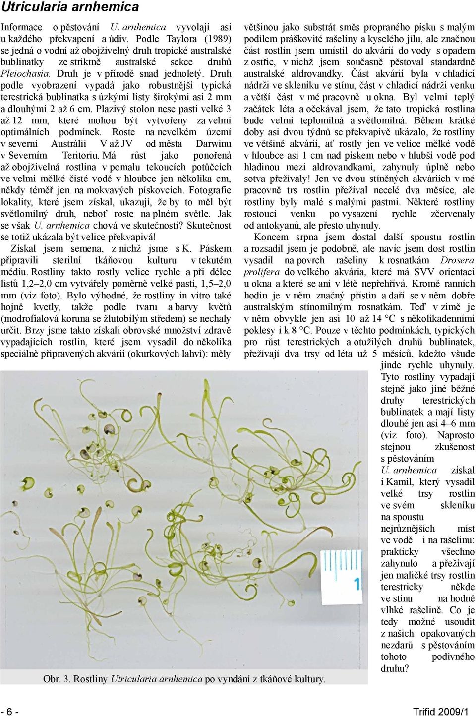 Druh podle vyobrazení vypadá jako robustnější typická terestrická bublinatka s úzkými listy širokými asi 2 mm a dlouhými 2 až 6 cm.
