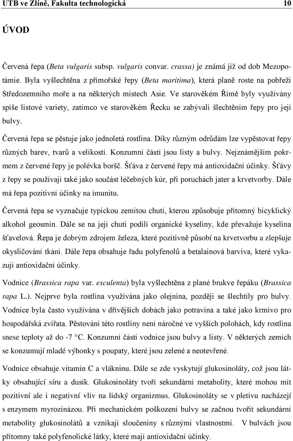 Ve starověkém Římě byly využívány spíše listové variety, zatímco ve starověkém Řecku se zabývali šlechtěním řepy pro její bulvy. Červená řepa se pěstuje jako jednoletá rostlina.