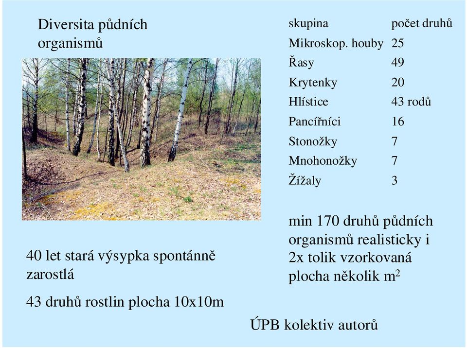 7 Žížaly 3 40 let stará výsypka spontánně zarostlá 43 druhů rostlin plocha 10x10m