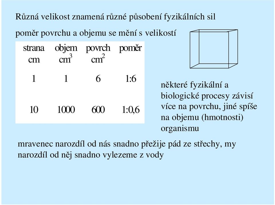 fyzikální a biologické procesy závisí více na povrchu, jiné spíše na objemu (hmotnosti)