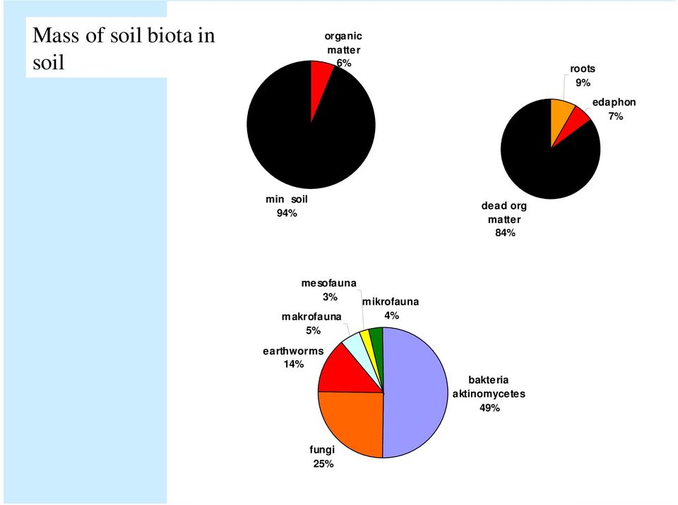 matter 84% mesofauna 3% makrofauna 5%