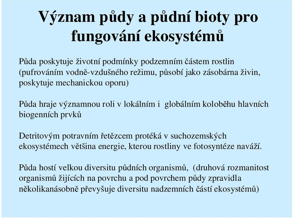 potravním řetězcem protéká v suchozemských ekosystémech většina energie, kterou rostliny ve fotosyntéze naváží.