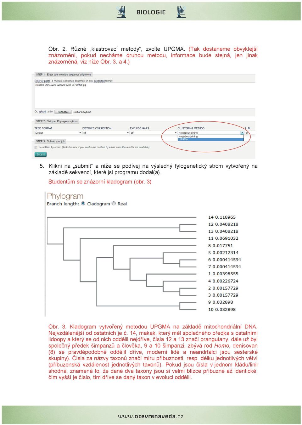 Obr. 3. Kladogram vytvořený metodou UPGMA na základě mitochondriální DNA. Nejvzdálenější od ostatních je č.