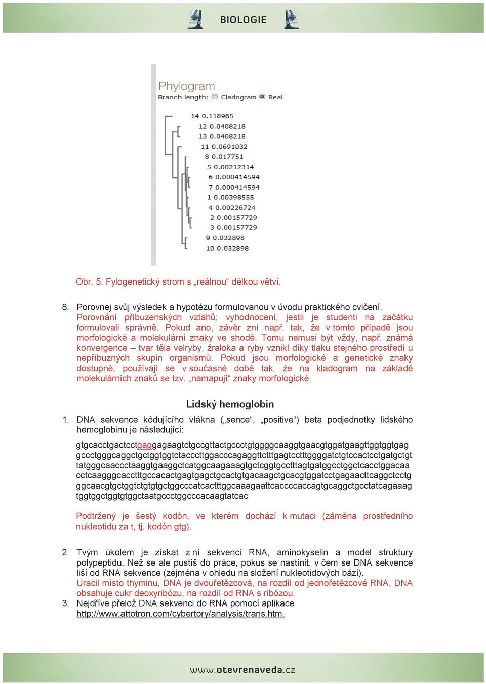 Tomu nemusí být vždy, např. známá konvergence tvar těla velryby, žraloka a ryby vznikl díky tlaku stejného prostředí u nepříbuzných skupin organismů.