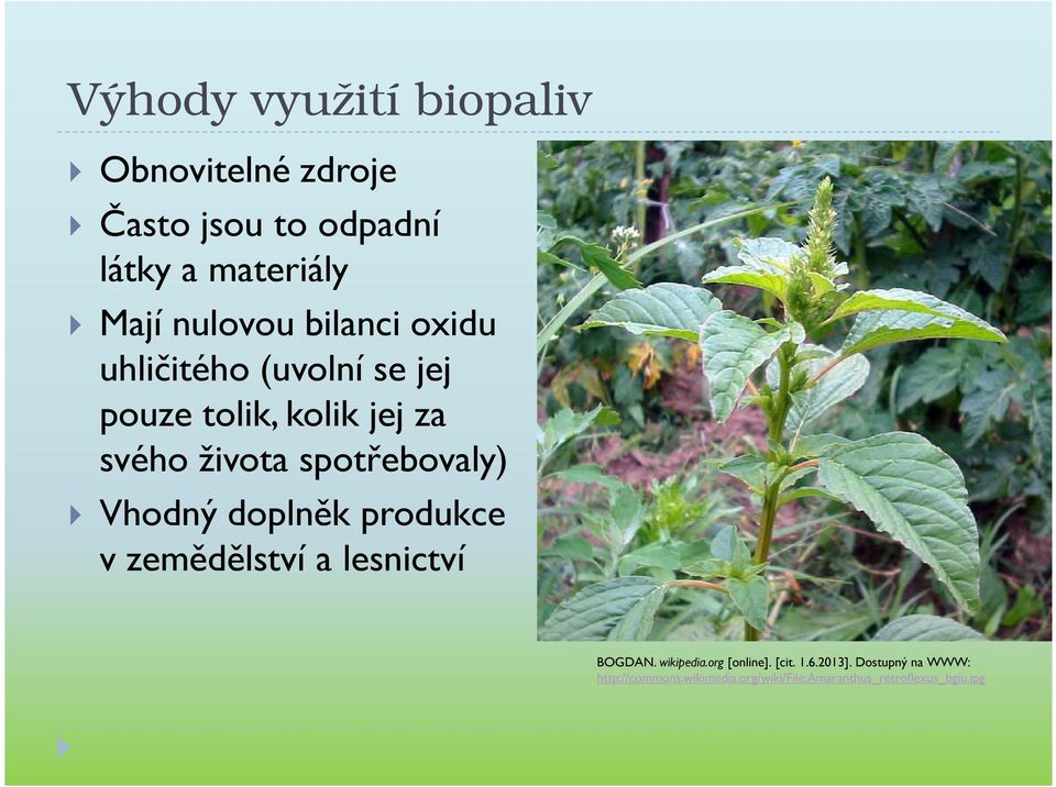 spotřebovaly) Vhodný doplněk produkce v zemědělství a lesnictví BOGDAN. wikipedia.