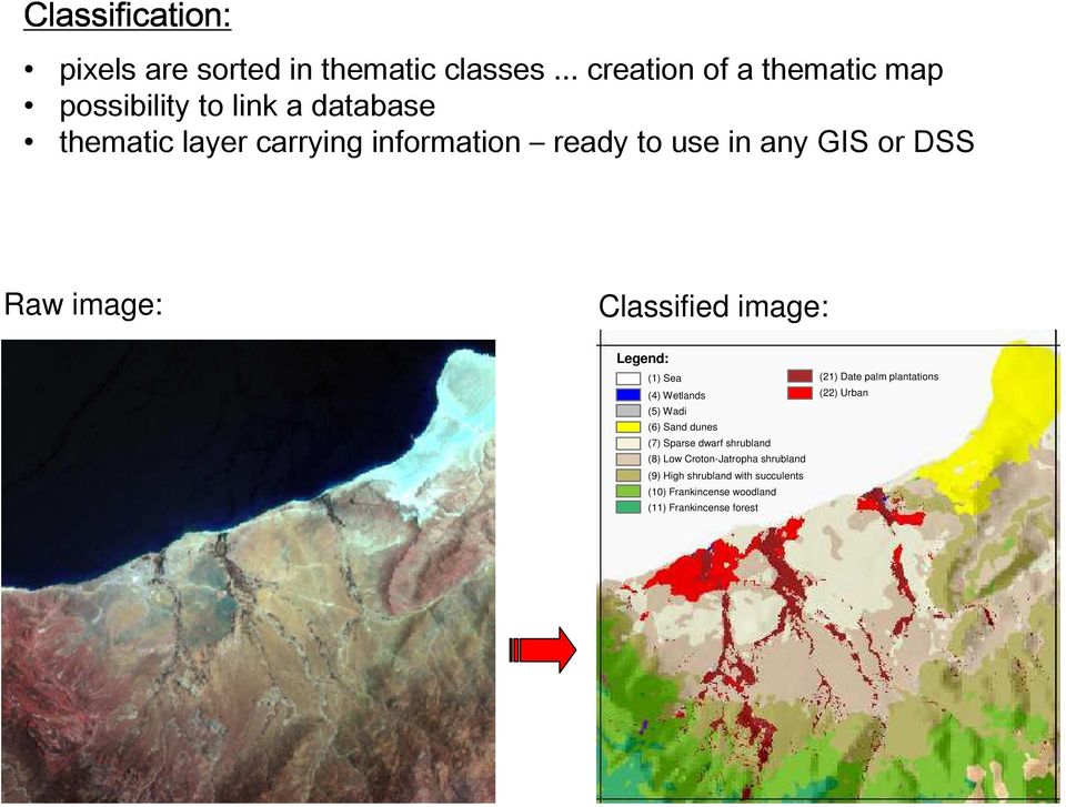 in any GIS or DSS Raw image: Classified image: Legend: (1) Sea (4) Wetlands (5) Wadi (6) Sand dunes (7) Sparse