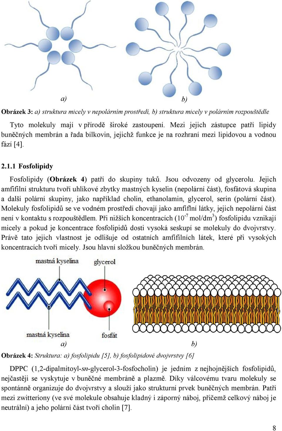 Jsou odvozeny od glycerolu.