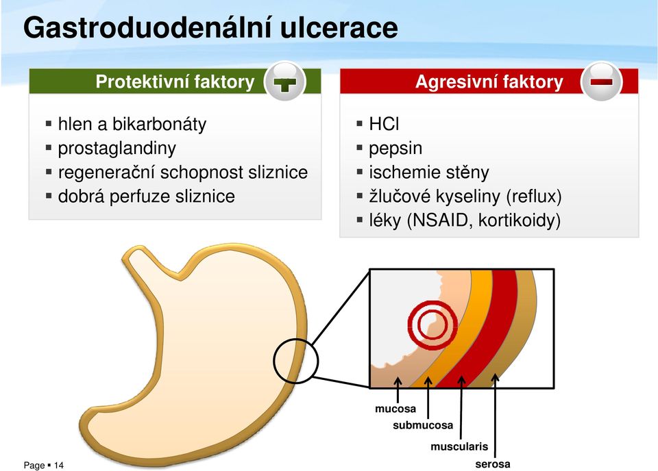 sliznice Agresivní faktory HCl pepsin ischemie stěny žlučové kyseliny