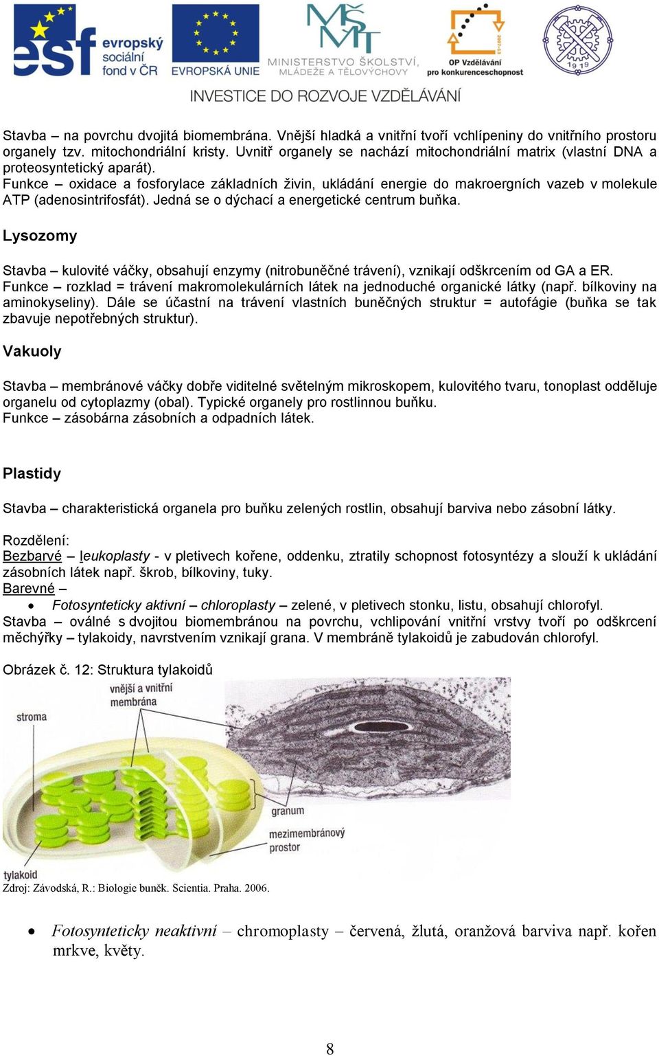 Funkce oxidace a fosforylace základních živin, ukládání energie do makroergních vazeb v molekule ATP (adenosintrifosfát). Jedná se o dýchací a energetické centrum buňka.