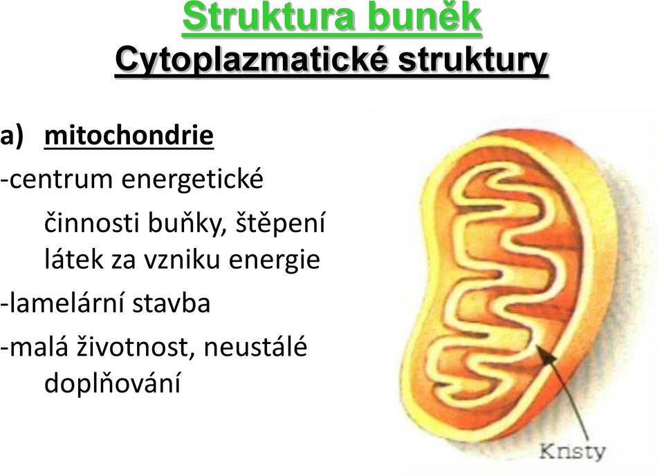 energetické činnosti buňky, štěpení látek za