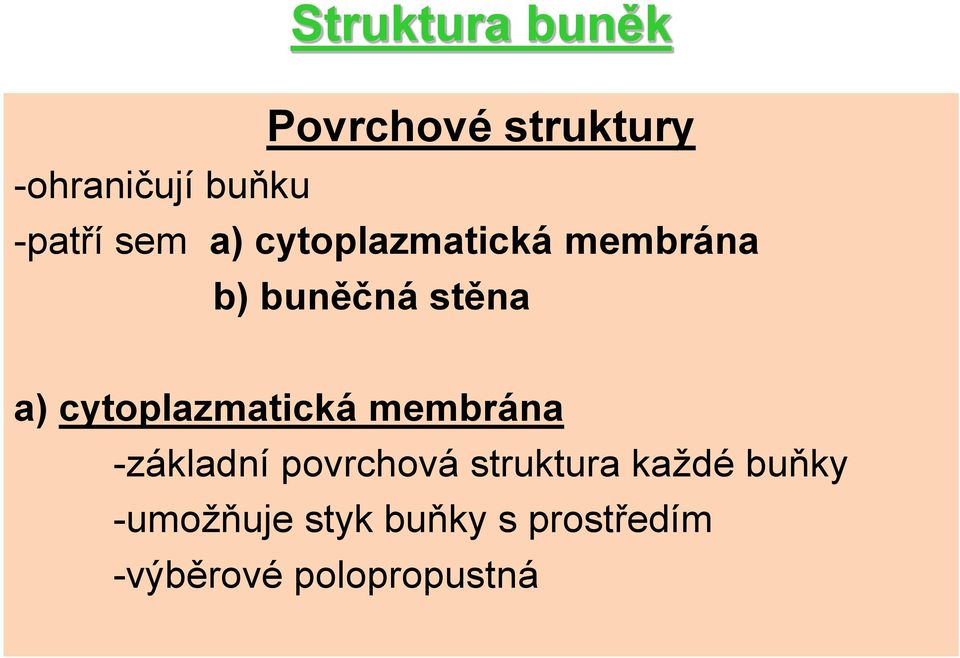 cytoplazmatická membrána -základní povrchová struktura