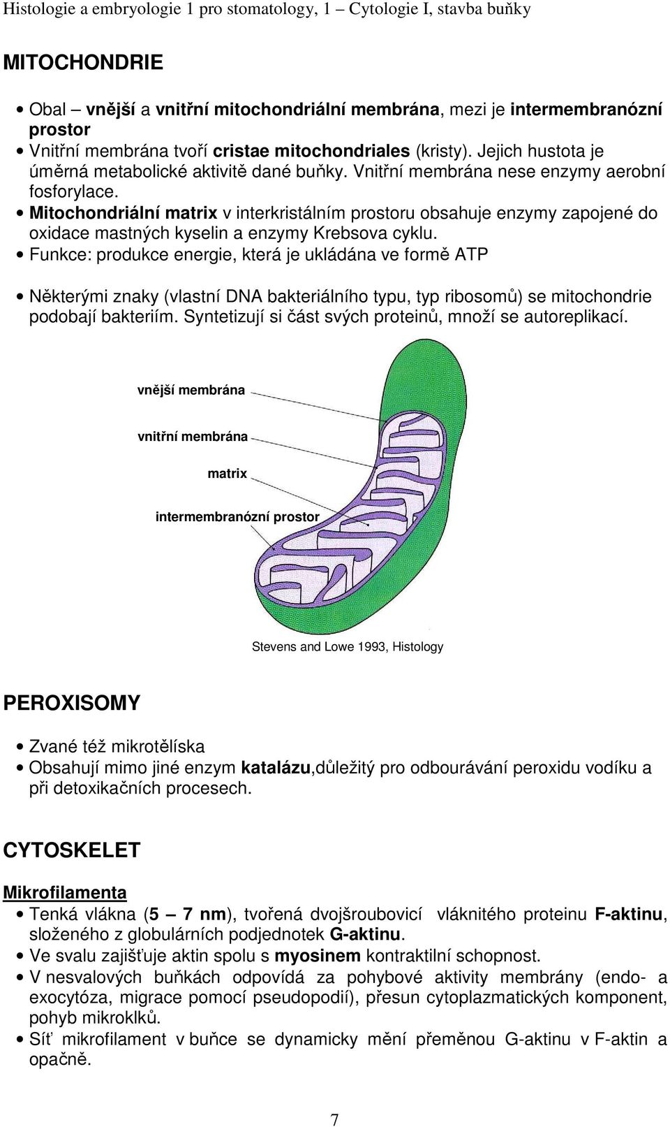 Mitochondriální matrix v interkristálním prostoru obsahuje enzymy zapojené do oxidace mastných kyselin a enzymy Krebsova cyklu.