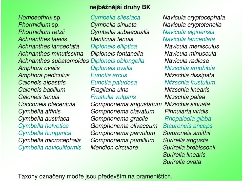 Navicula menisculus Achnanthes minutissima Diploneis fontanella Navicula minuscula Achnanthes subatomoides Diploneis oblongella Navicula radiosa Amphora ovalis Diploneis ovalis Nitzschia amphibia