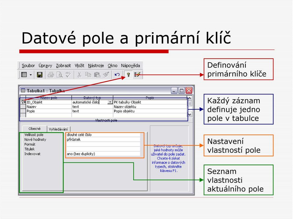 jedno pole v tabulce Nastavení