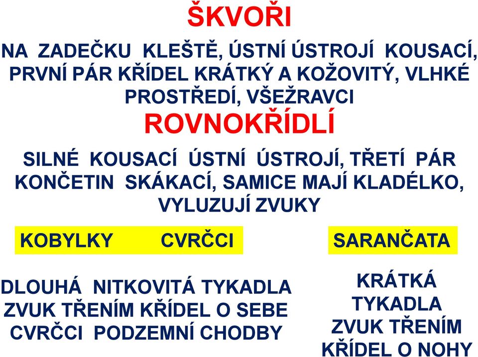 SKÁKACÍ, SAMICE MAJÍ KLADÉLKO, VYLUZUJÍ ZVUKY KOBYLKY CVRČCI DLOUHÁ NITKOVITÁ TYKADLA