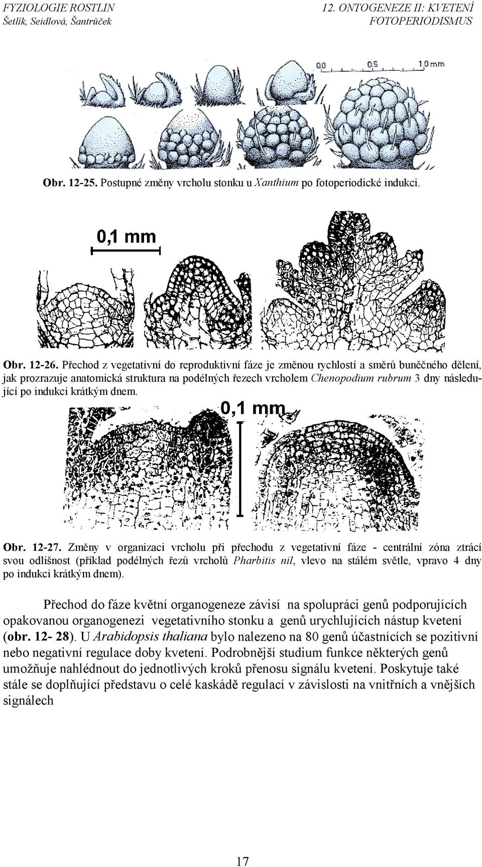 indukci krátkým dnem. Obr. 12-27.