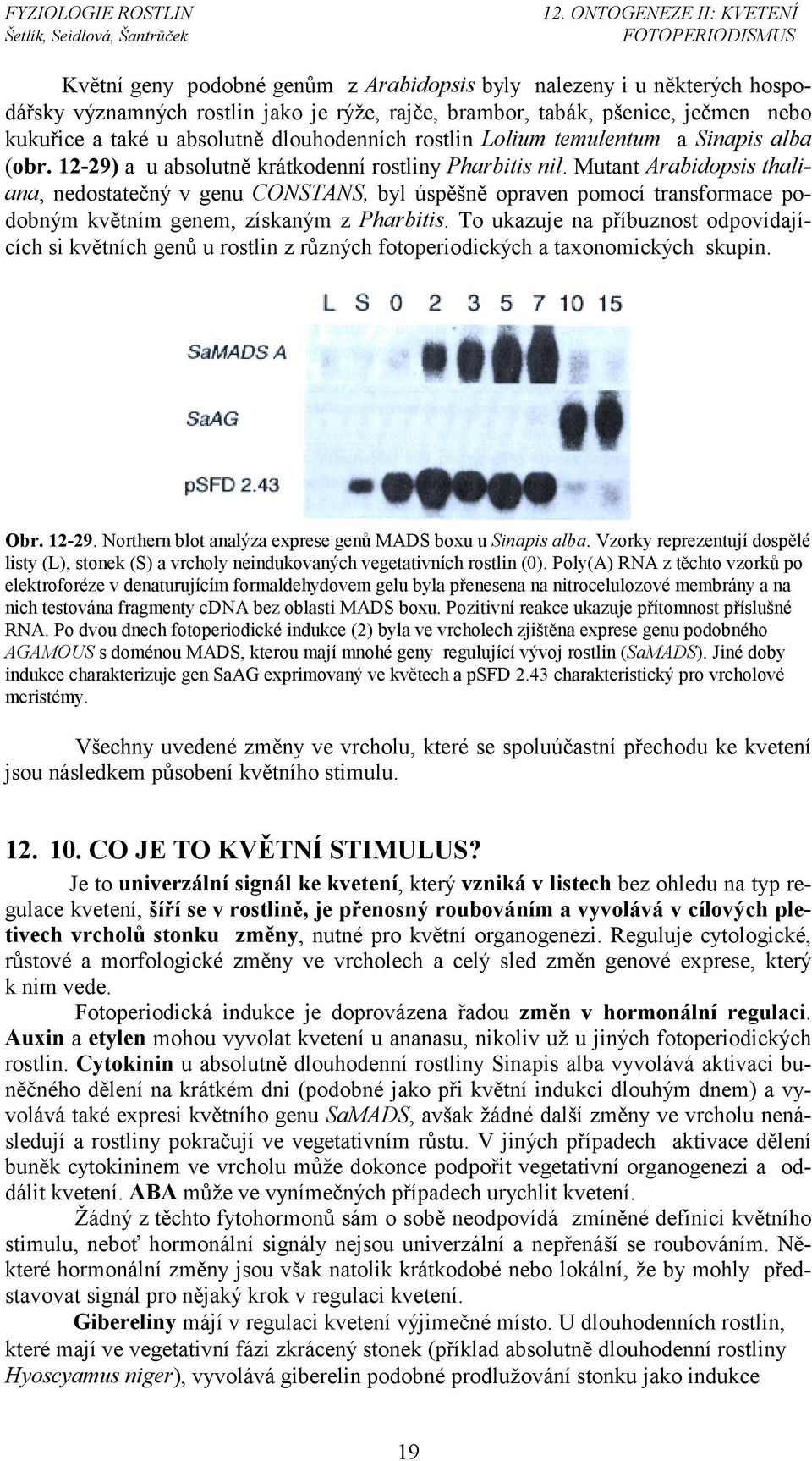 Mutant Arabidopsis thaliana, nedostatečný v genu CONSTANS, byl úspěšně opraven pomocí transformace podobným květním genem, získaným z Pharbitis.
