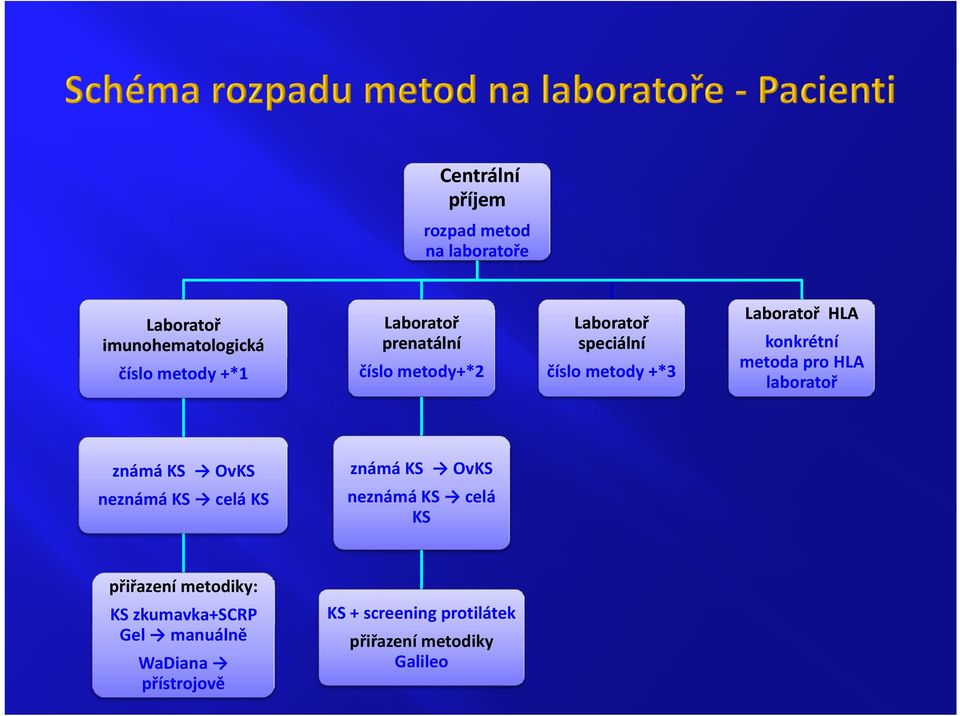 KS neznámá KS celá KS přiřazení metodiky: KS zkumavka+scrp Gel manuálně WaDiana přístrojově KS +