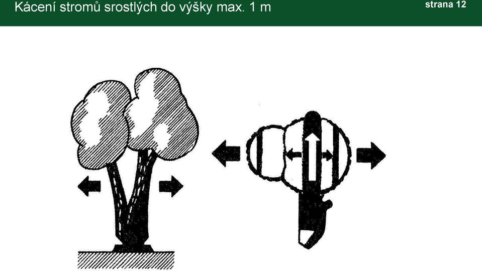 srostlých do