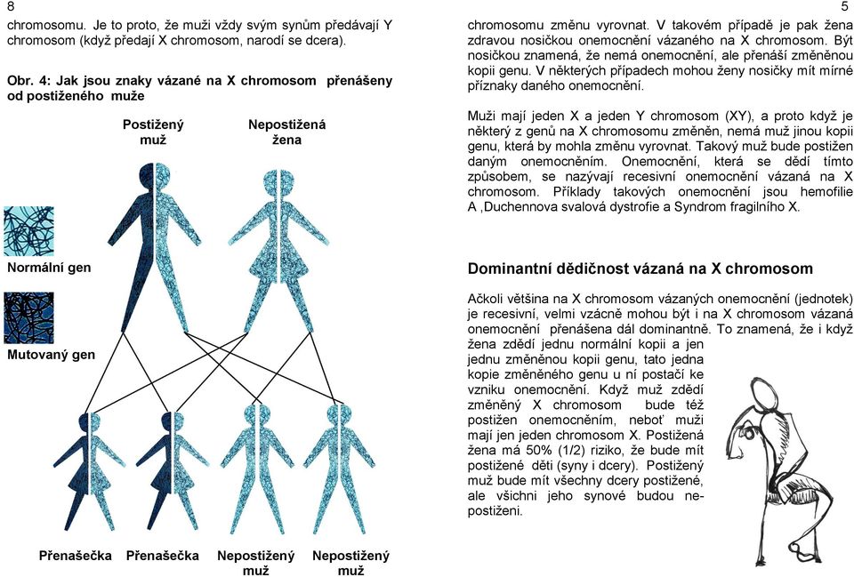 V takovém případě je pak žena zdravou nosičkou onemocnění vázaného na X chromosom. Být nosičkou znamená, že nemá onemocnění, ale přenáší změněnou kopii genu.