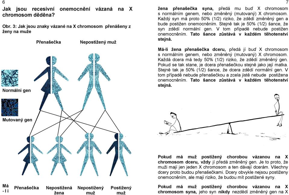 chromosom. Každý syn má proto 50% (1/2) riziko, že zdědí změněný gen a bude postižen onemocněním. Stejně tak je 50% (1/2) šance, že syn zdědí normální gen. V tom případě nebude postižen onemocněním.