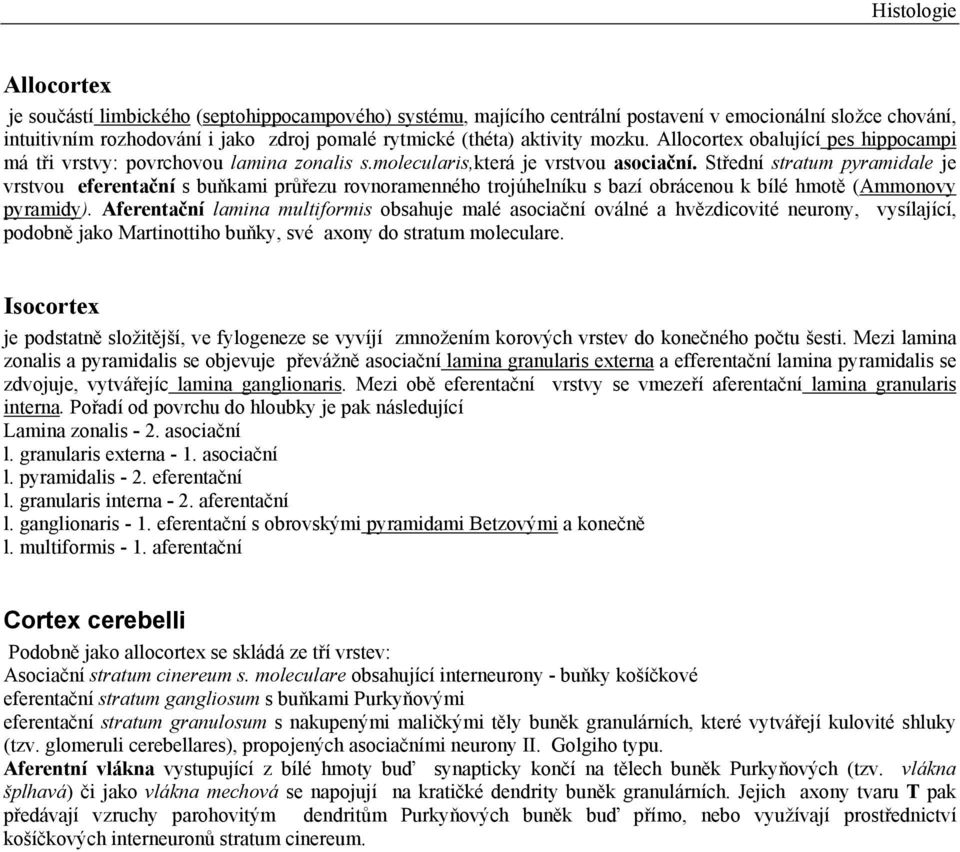 Střední stratum pyramidale je vrstvou eferentační s buňkami průřezu rovnoramenného trojúhelníku s bazí obrácenou k bílé hmotě (Ammonovy pyramidy).