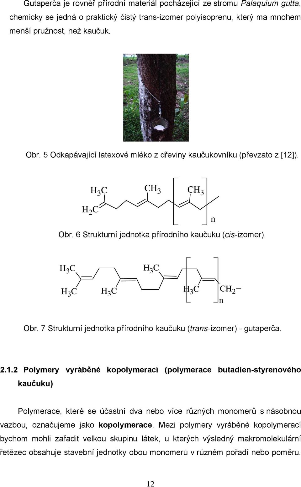 7 Strukturí jedotka přírodího kaučuku (tras-izomer) - gutaperča. 2.1.