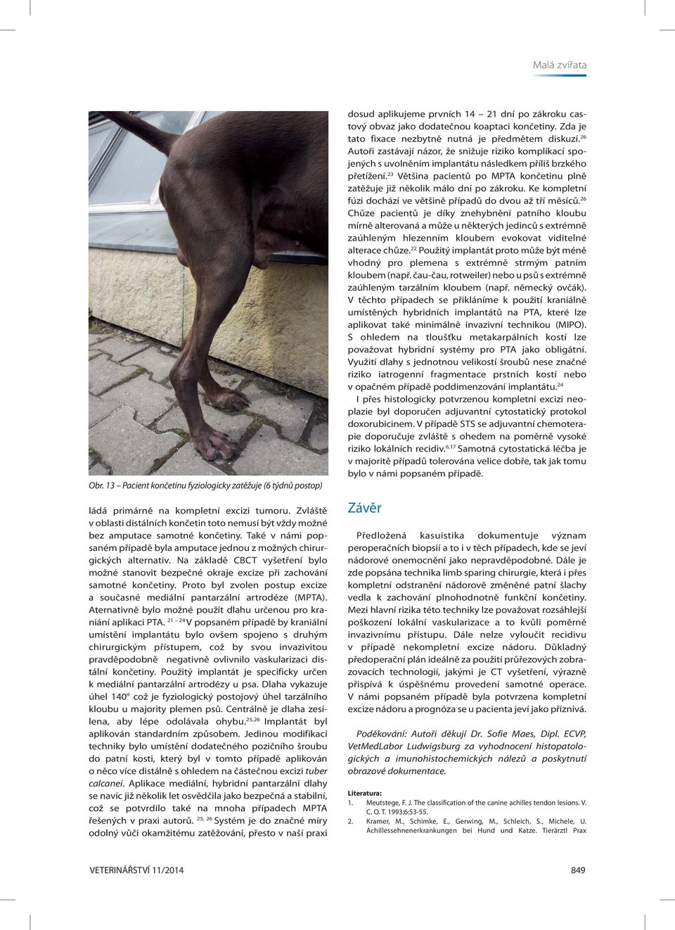 Na základě CBCT vyšetření bylo možné stanovit bezpečné okraje excize při zachování samotné končetiny. Proto byl zvolen postup excize a současné mediální pantarzální artrodéze (MPTA).