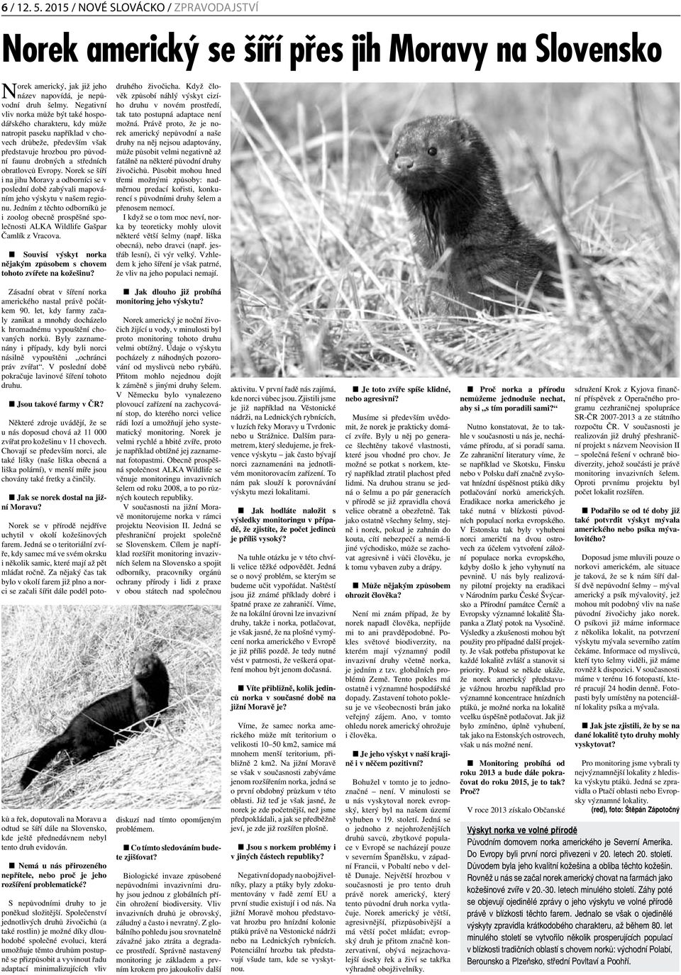 Evropy. Norek se šíří i na jihu Moravy a odborníci se v poslední době zabývali mapováním jeho výskytu v našem regionu.