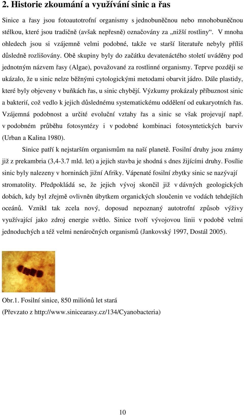 Obě skupiny byly do začátku devatenáctého století uváděny pod jednotným názvem řasy (Algae), považované za rostlinné organismy.